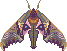 moth pixel art