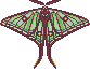 moth pixel art