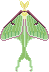 moth pixel art